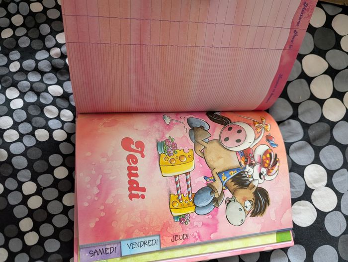 Cahier de texte diddl - photo numéro 5