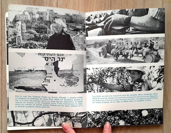 coup d'œil - photo numéro 7