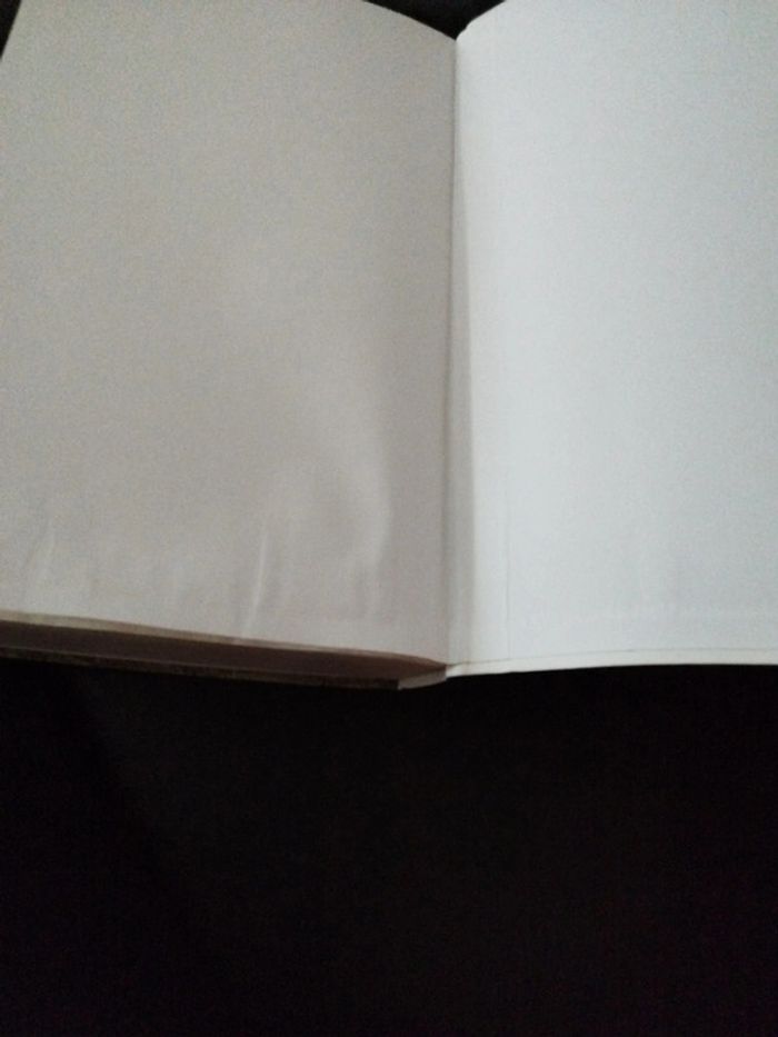 Le jardin de Mercure de Jean Anglade - photo numéro 5