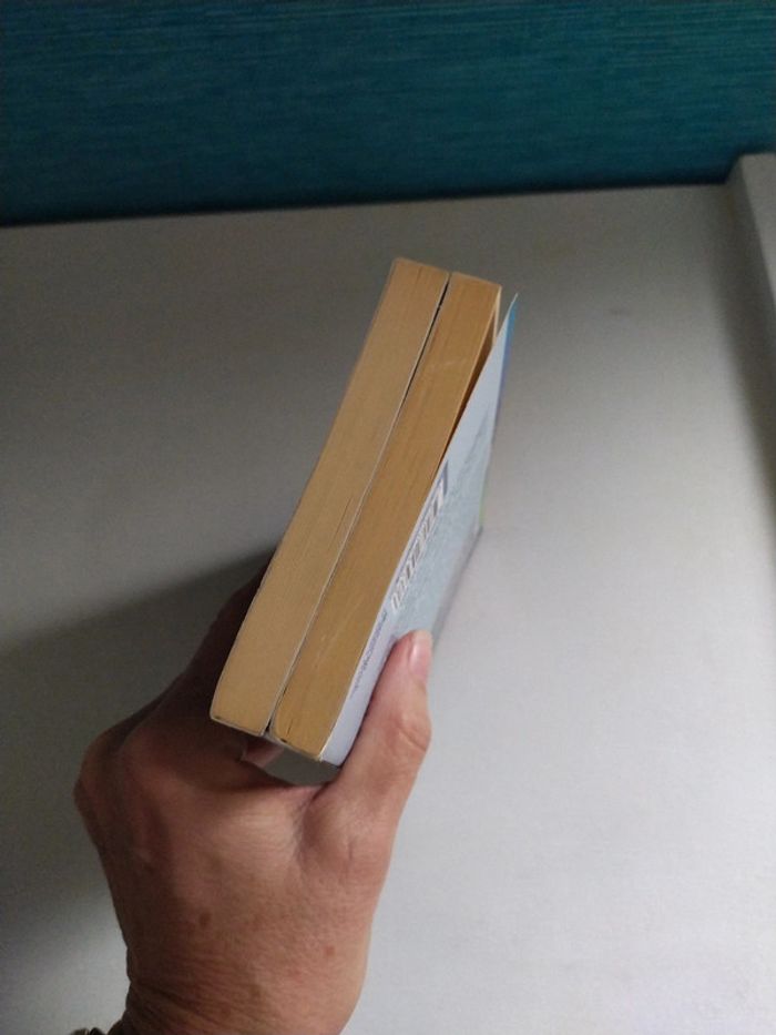 Le livre des Étoiles d'Erik L'homme - photo numéro 7