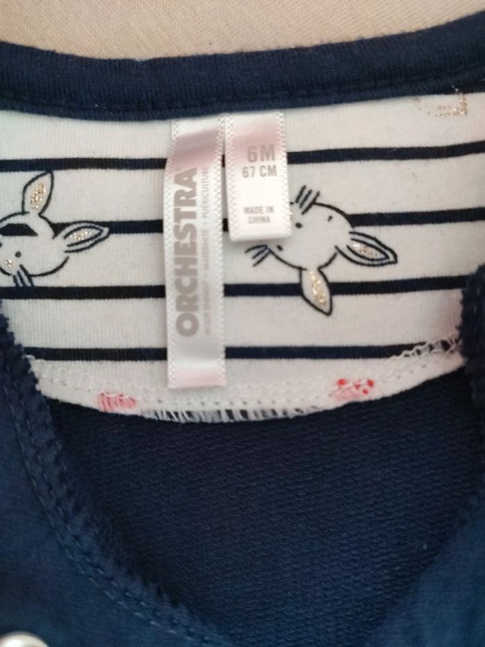 Ensemble orchestra - photo numéro 4