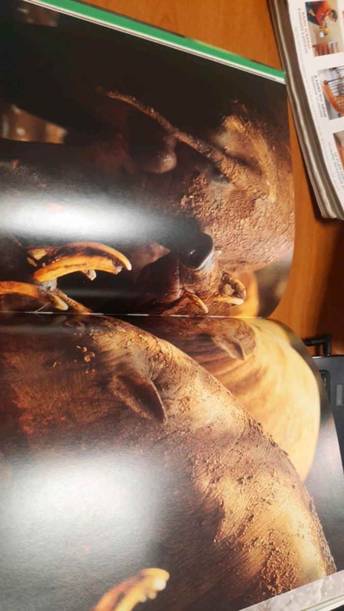 Grand livre animaux - photo numéro 3