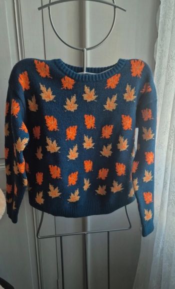 Joli pull automne