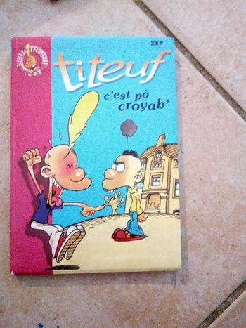 livre pour enfant Titeuf - c'est pô croyab'