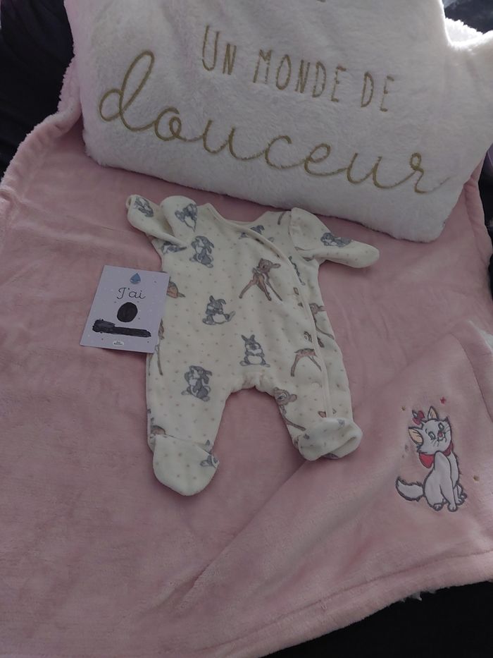 Lot naissances - photo numéro 3