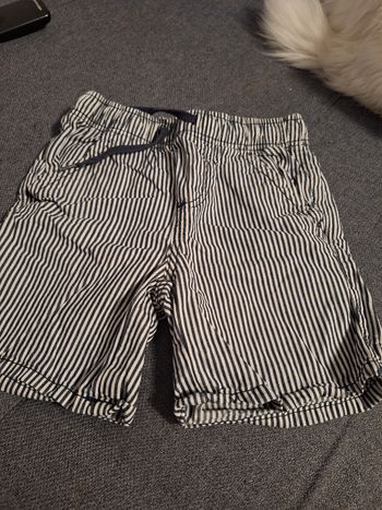 Short rayures
