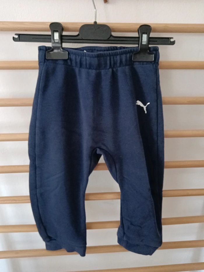 Jogging puma