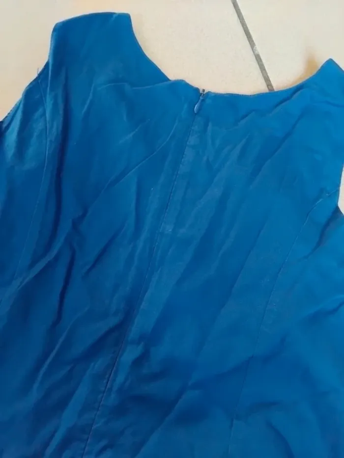 Robe bleu femelle - photo numéro 2