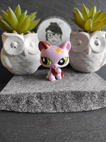 Littlest Petshop LPS Pet Shop chat Chartreux 1718 cat  #geektradelpschat
