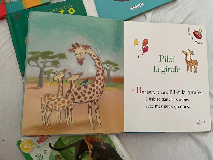 Livre - photo numéro 8