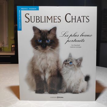 Livre Sublimes chats