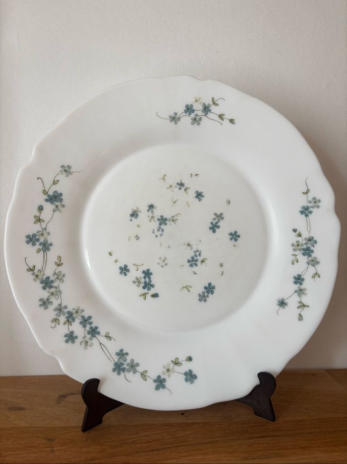 Vintage lot de 5 assiettes plates Arcopal véronica myosotis - photo numéro 2