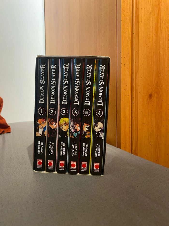 Collection Livre demon slayer
