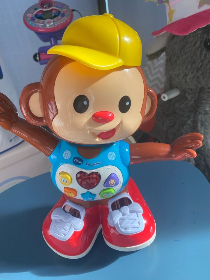Singe Titi Ouistiti