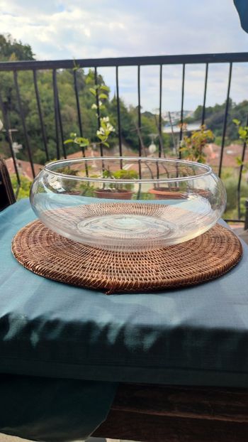 Plat coupelle en verre