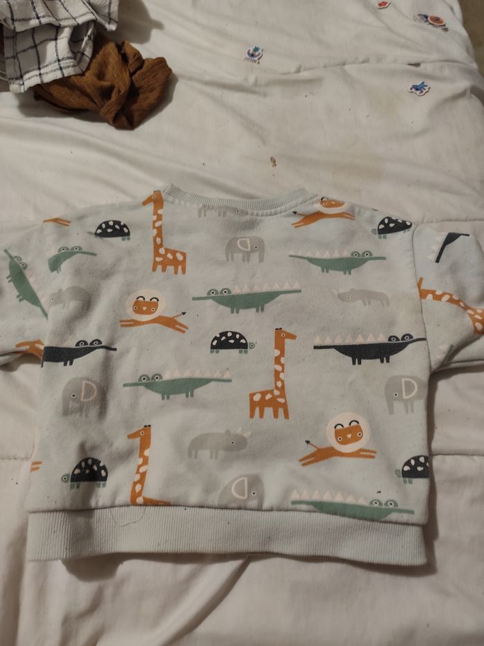 Pull orchestra - photo numéro 2