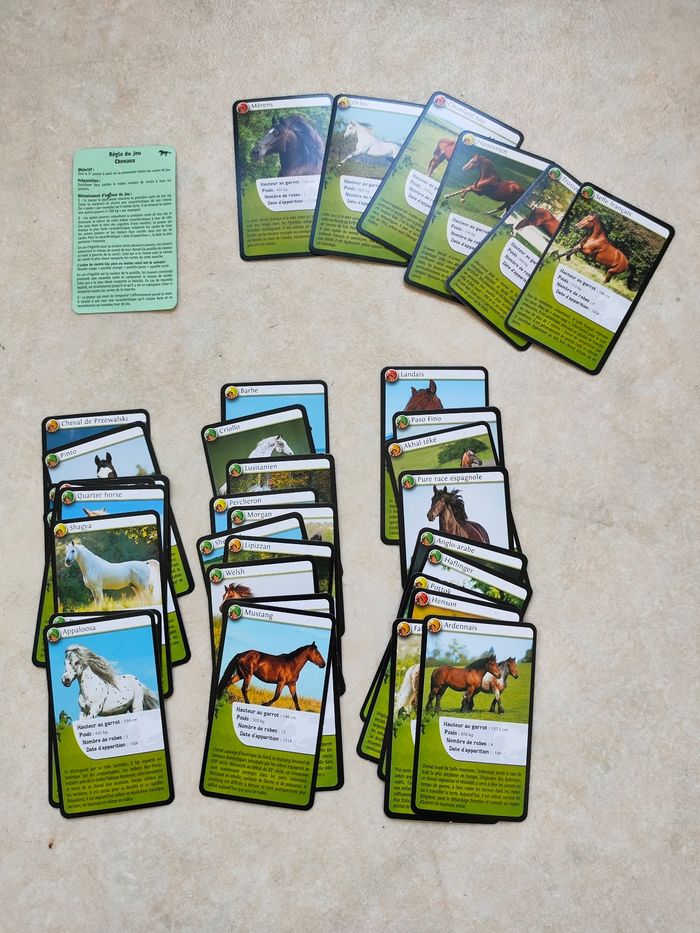 Jeu Défis Nature Chevaux – Bioviva - photo numéro 4