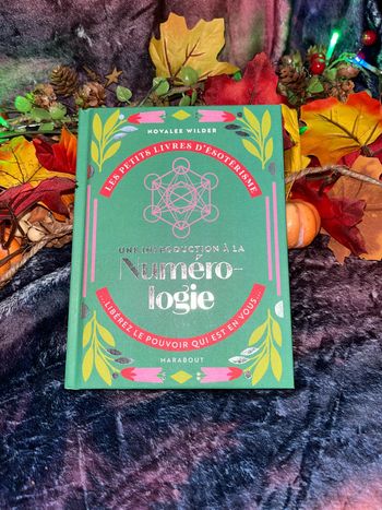 Une introduction à la numérologie - Poche Novalee Wilder Julie Sence-Herlihy (Traducteur)