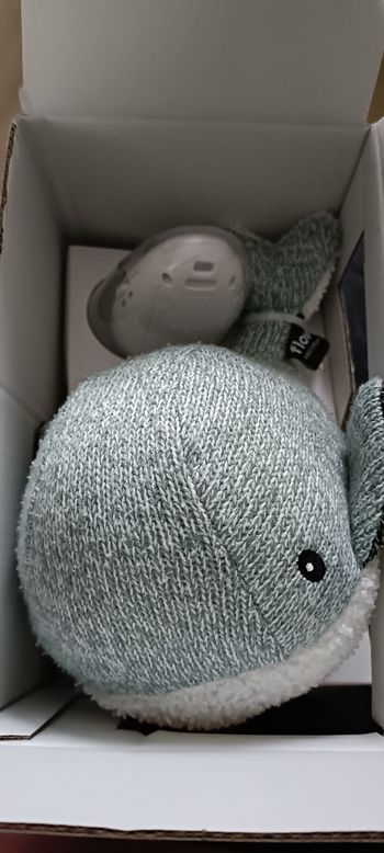 Baleine bruit blanc flow