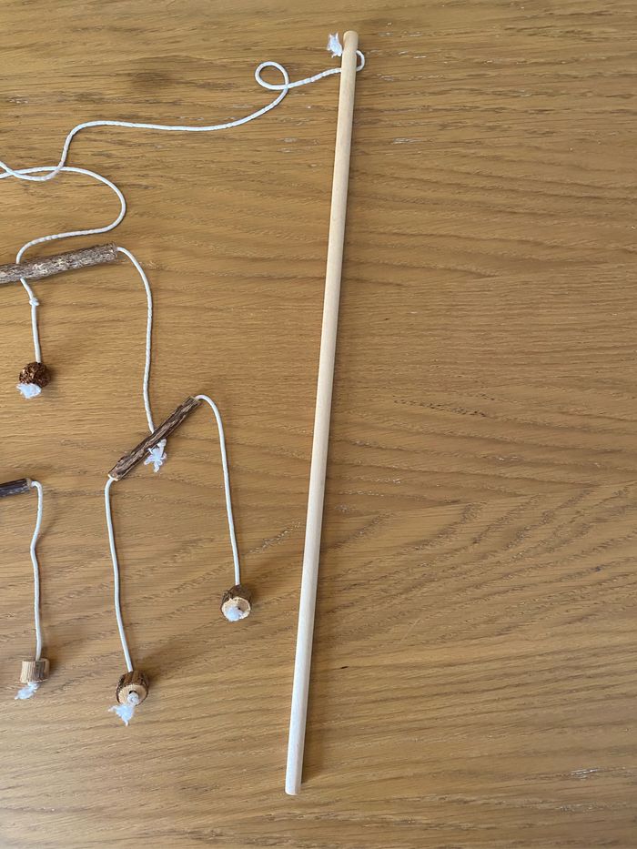Canne à pêche avec sticks pour chat de compagnie - photo numéro 4