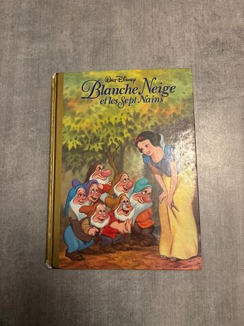 Livre Blanche-Neige et les sept nains