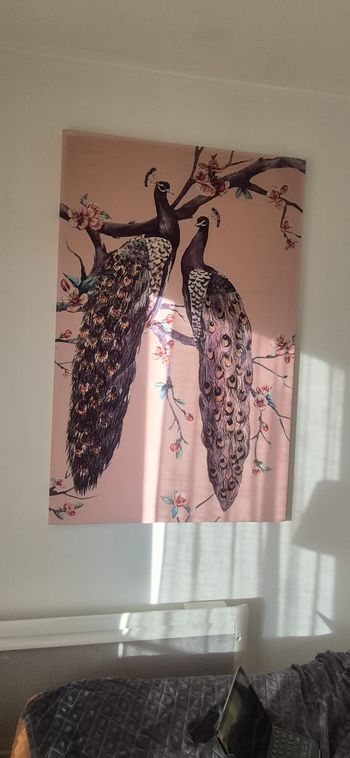 Tableau toile velours