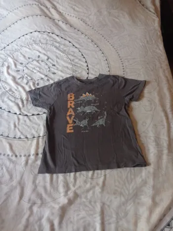 Tee-shirt dinosaure