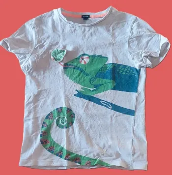 🦎 T-shirt lézard – Garçon 12 ans