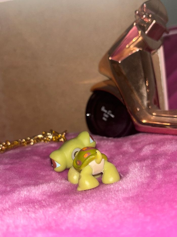 tortue #8 - photo numéro 2