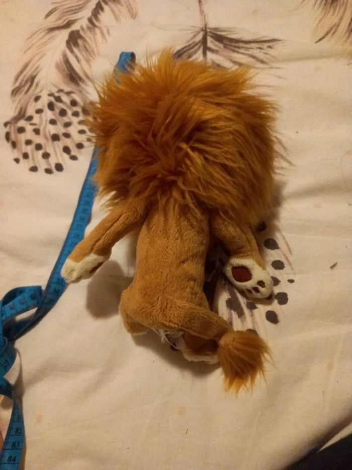 Lion de Madagascar 3 - photo numéro 3