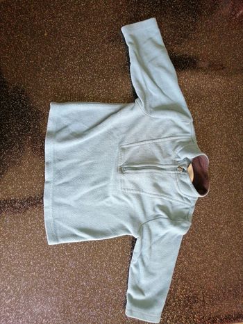 Pull polaire