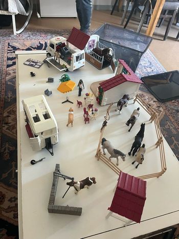 Lot schleich