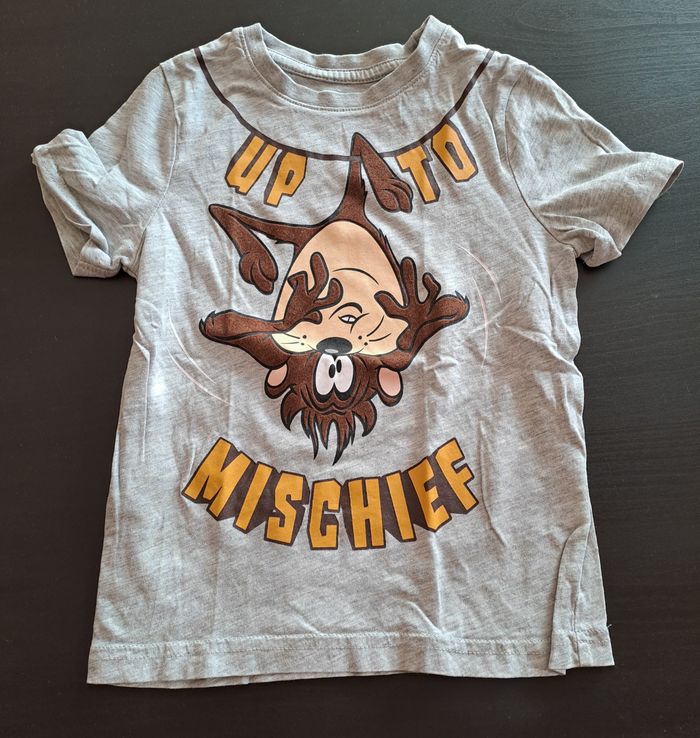Tee shirt Taz 4A - photo numéro 1