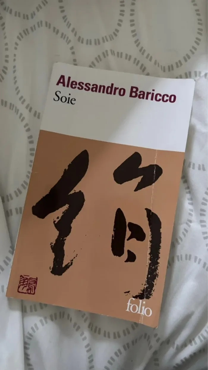Alessandro baricco - soie