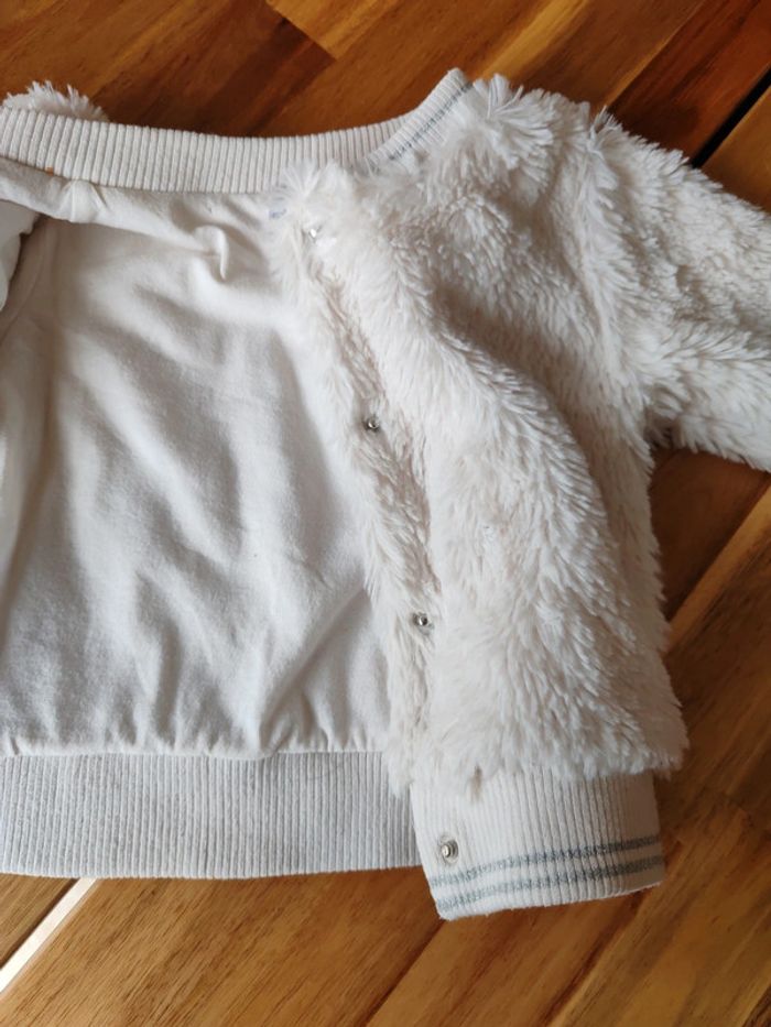 Veste - photo numéro 6