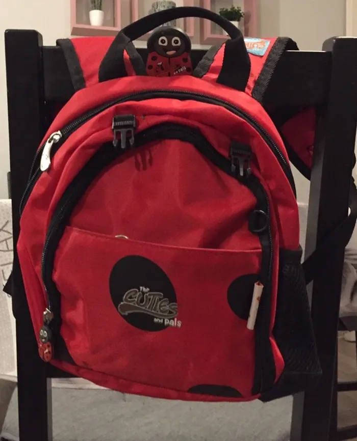 Petit sac coccinelle - photo numéro 2
