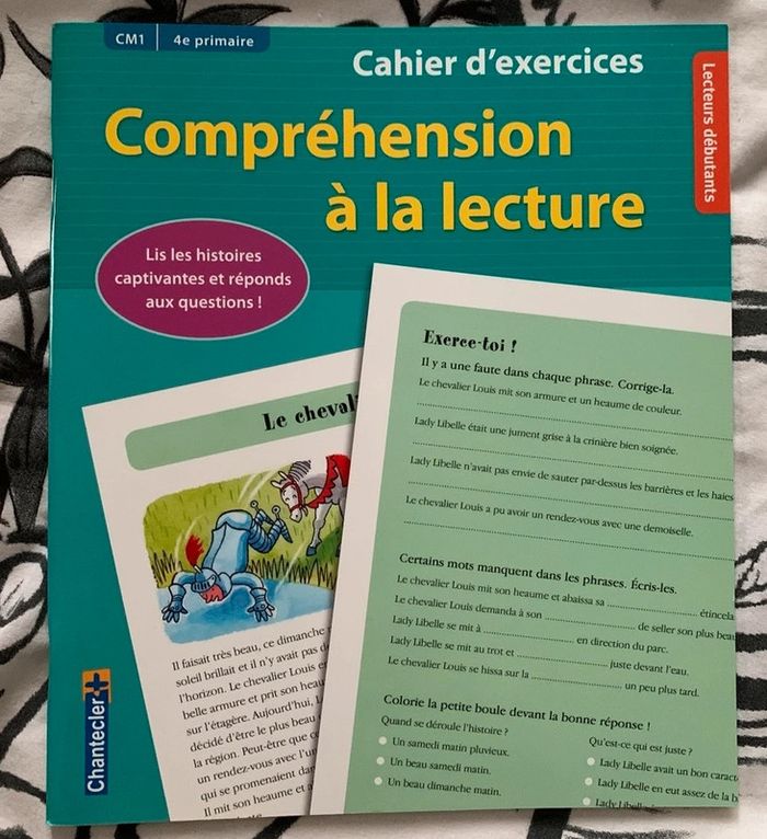 Compréhension à la lecture - Lecteurs débutants - Cahier d'exercices
