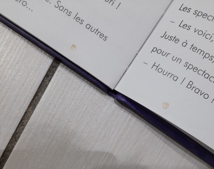 Livres Super wings 
Légers défauts / voie photos - photo numéro 3