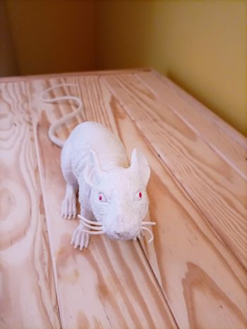 Grand Rat Albinos Sonore - 20 cm