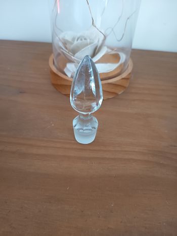 Bouchon de carafe 