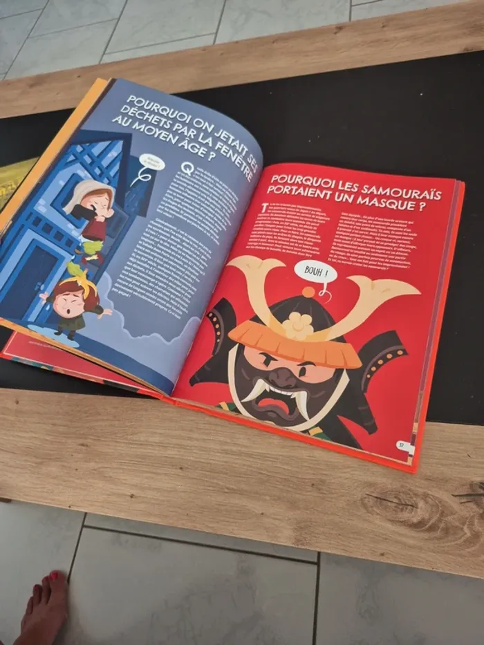 Livre les pourquoi de l'histoire - photo numéro 3
