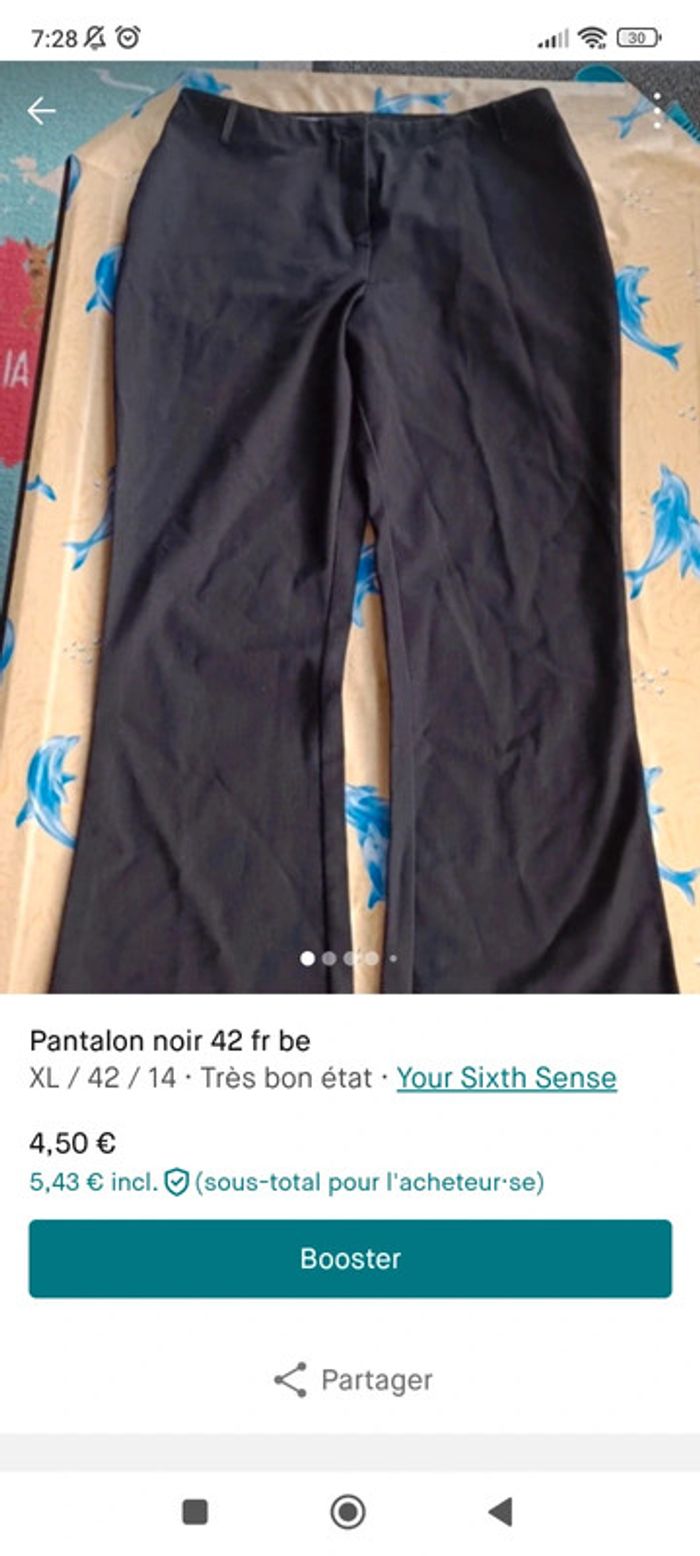 Pantalon 42 - photo numéro 9