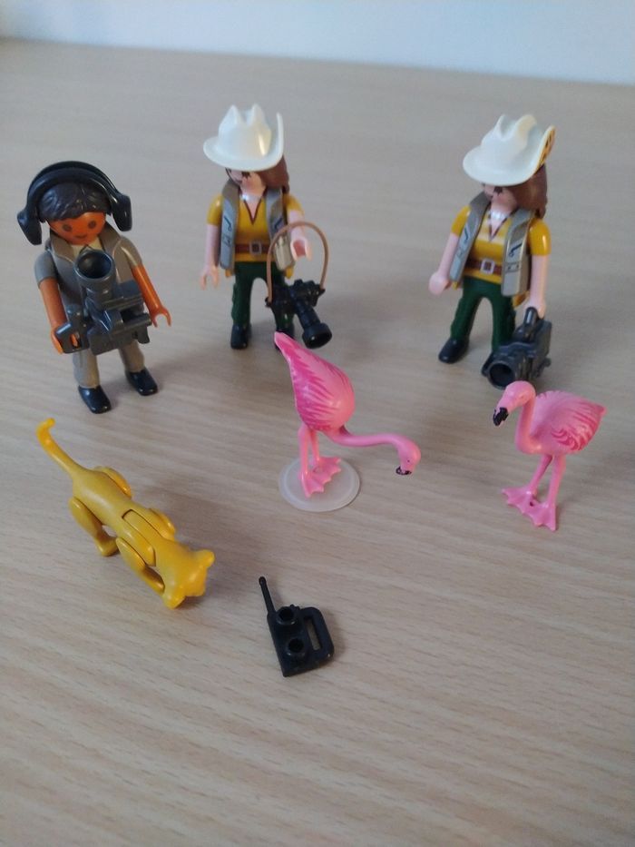 Équipe de reportage Safari.