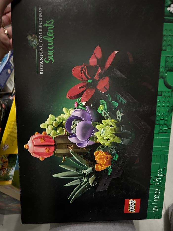 LEGO 10309 Les succulentes - photo numéro 2