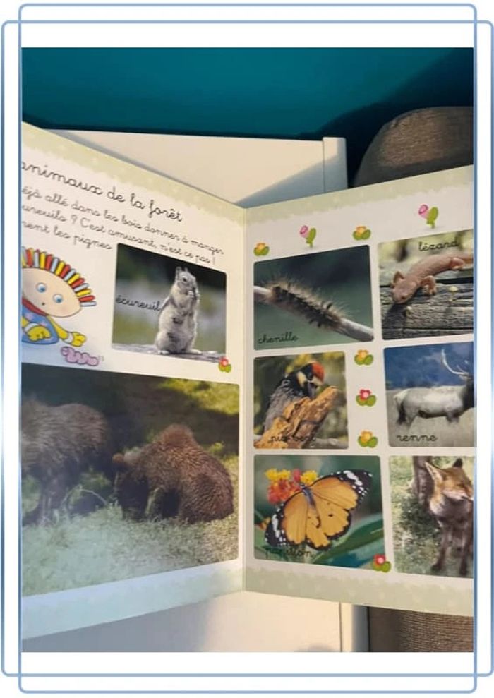 Livre dictionnaire des animaux - photo numéro 5