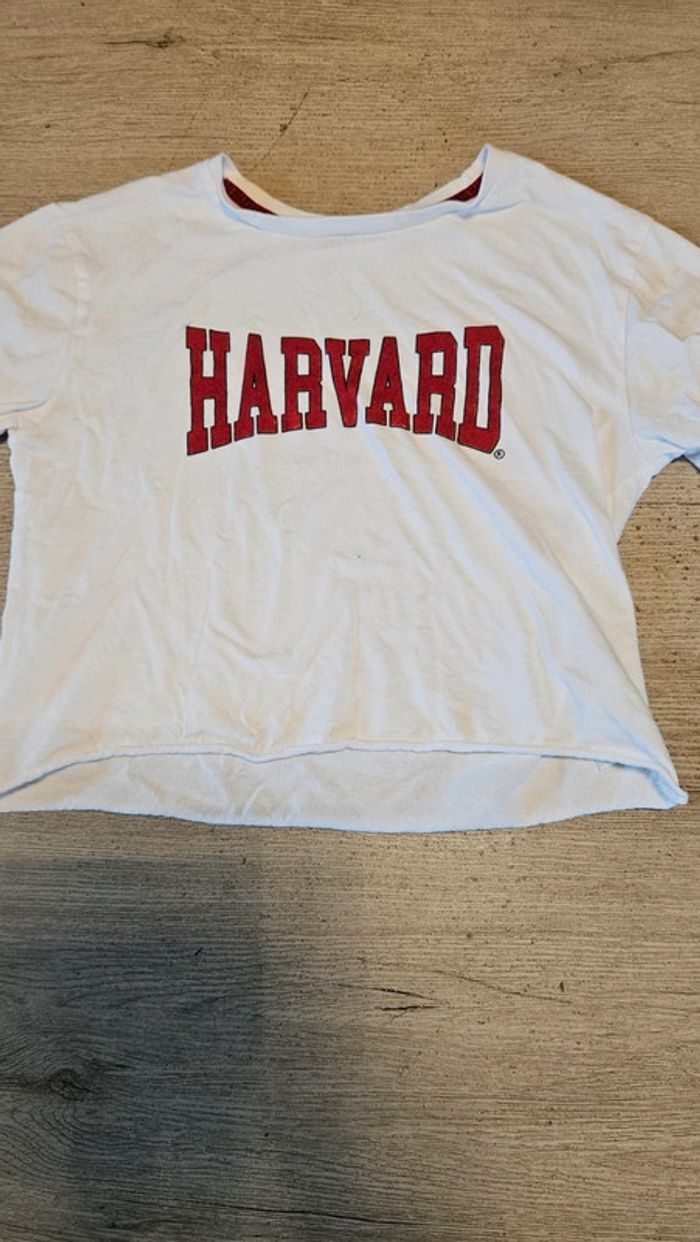 Croc top large, blanc, à manches courtes, Harvard University, taille 12 ans, nickel - photo numéro 3