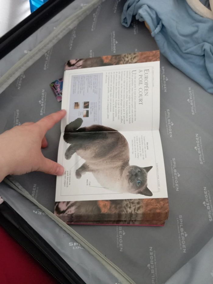 Livre dico chat - photo numéro 5