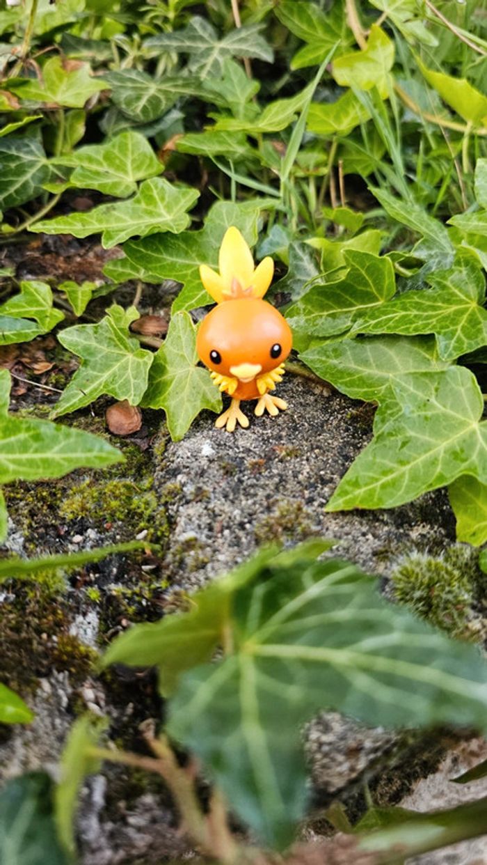 Super figurine Pokemon Nintendo Poussifeu - photo numéro 2