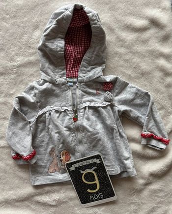 Gilet zippe Disney