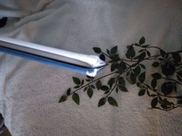 BD les aventures de Sarkozix - photo numéro 4